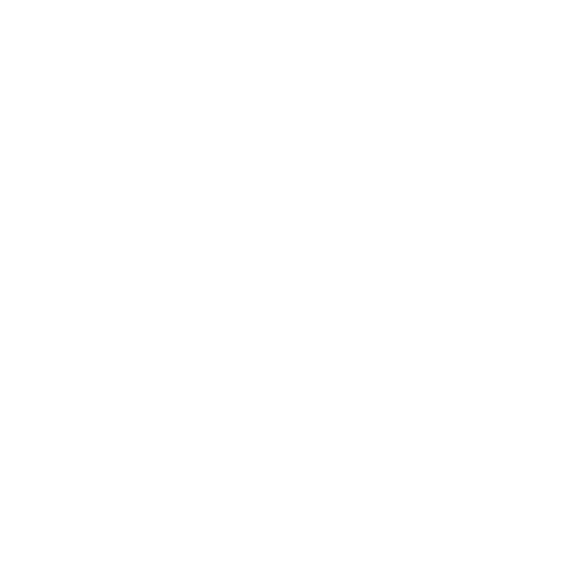 Big Thunder Wake Experience